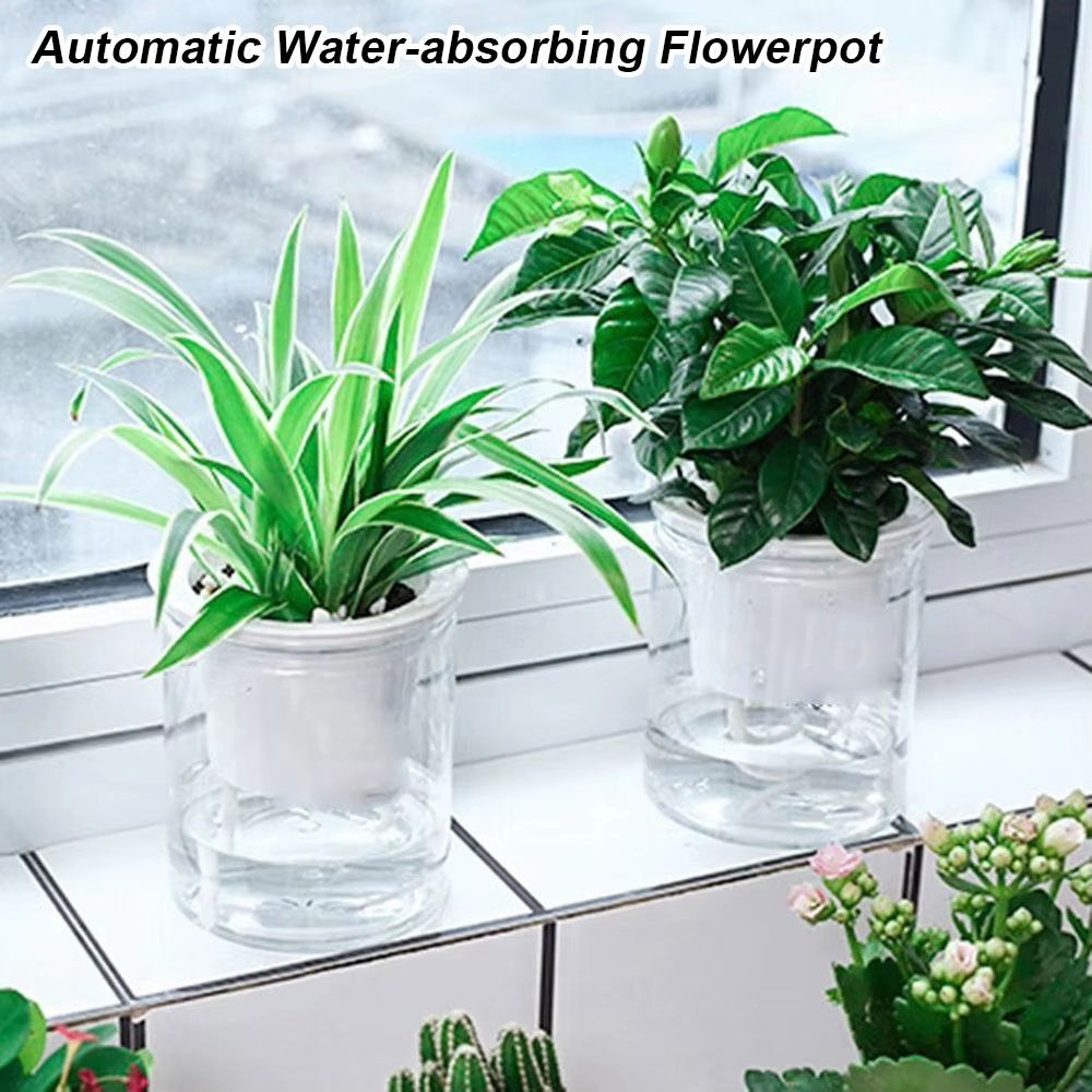 Self-Watering Planter - กระถางต้นไม้ดูดซึมน้ำอัตโนมัติ 1 ชิ้น แบบสองชั้น โปร่งใส สำหรับปลูกพืชแบบไฮโดรโพนิก