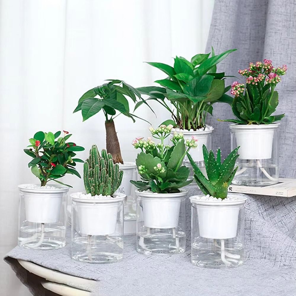 กระถางต้นไม้ดูดซึมน้ำอัตโนมัติ - Self-Watering Planter บทวิจารณ์และราคา