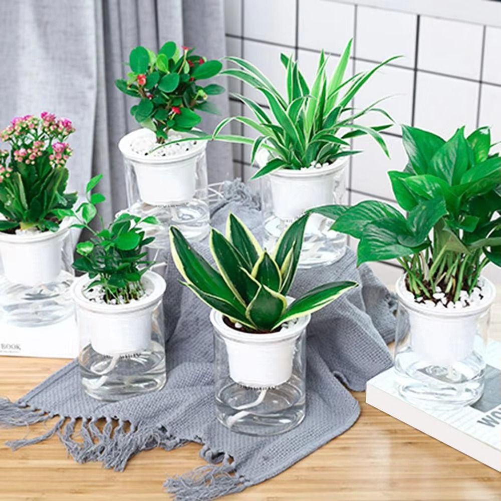 กระถางต้นไม้ดูดซึมน้ำอัตโนมัติ - Self-Watering Planter บทวิจารณ์และราคา