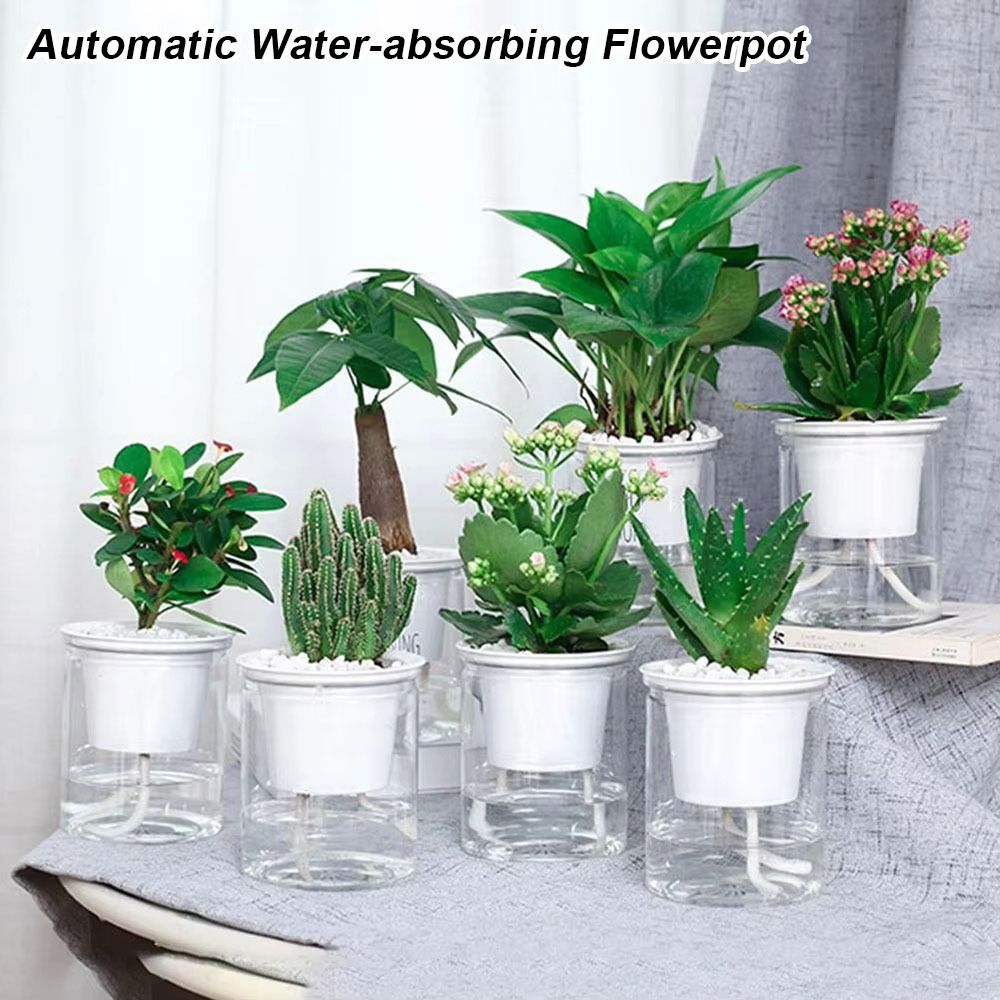 กระถางต้นไม้ดูดซึมน้ำอัตโนมัติ - Self-Watering Planter บทวิจารณ์และราคา