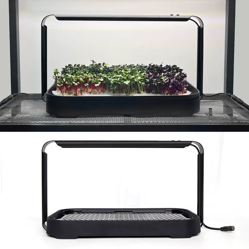 ระบบปลูกผักไมโครกรีนแบบไฮโดรโพ - Self-Watering Planter บทวิจารณ์และราคา