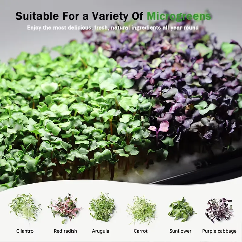 ระบบปลูกผักไมโครกรีนแบบไฮโดรโพ - Self-Watering Planter บทวิจารณ์และราคา