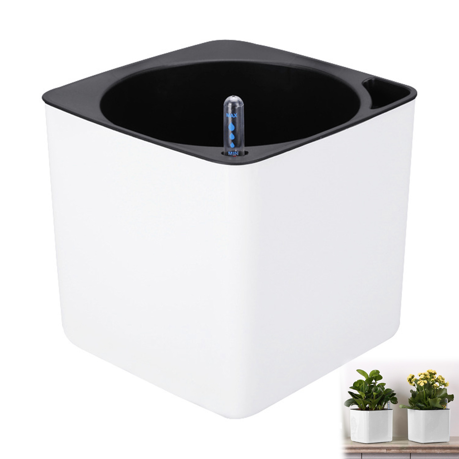 กระถางต้นไม้รดน้ำอัตโนมัติ กระ - Self-Watering Planter บทวิจารณ์และราคา