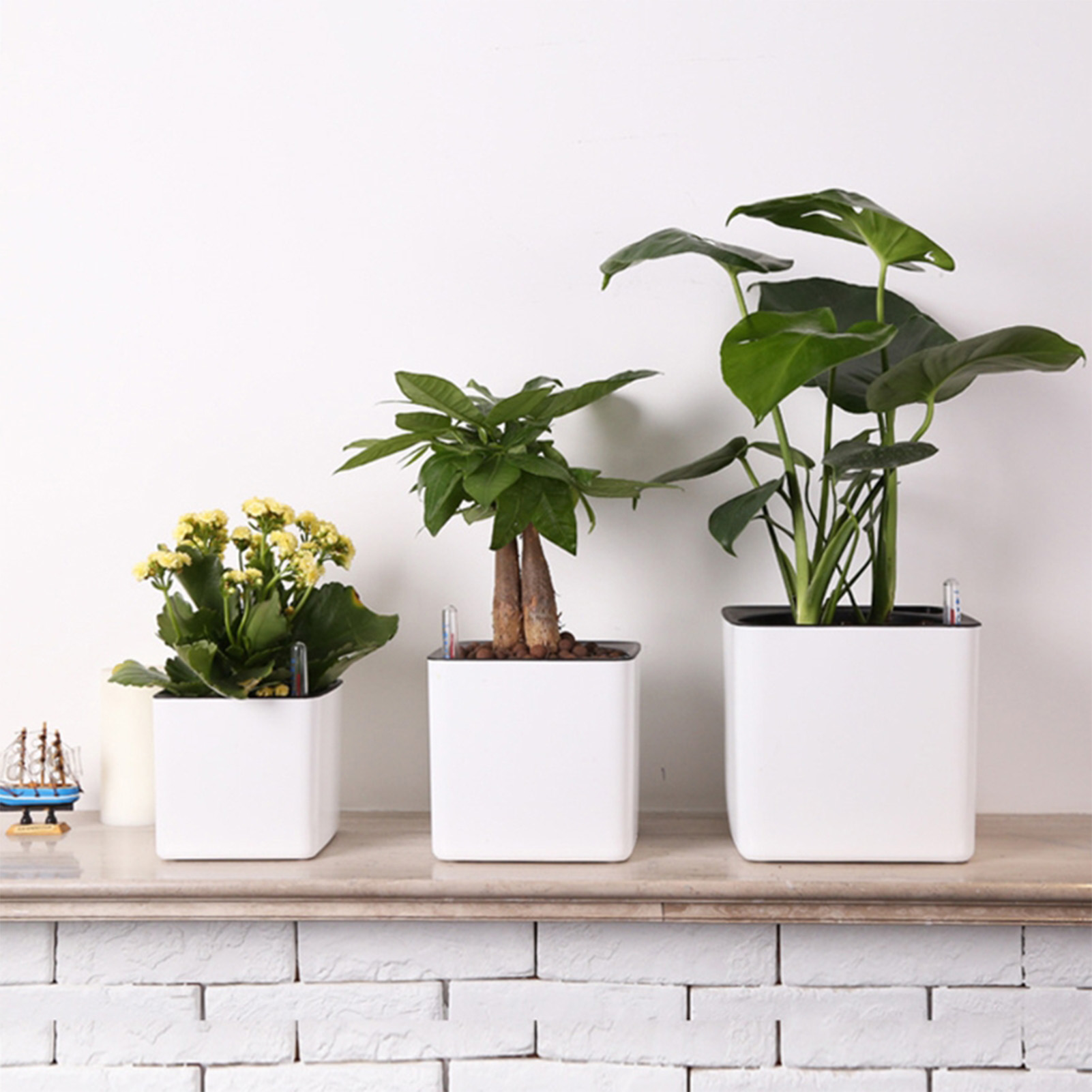 กระถางต้นไม้รดน้ำอัตโนมัติ กระ - Self-Watering Planter บทวิจารณ์และราคา