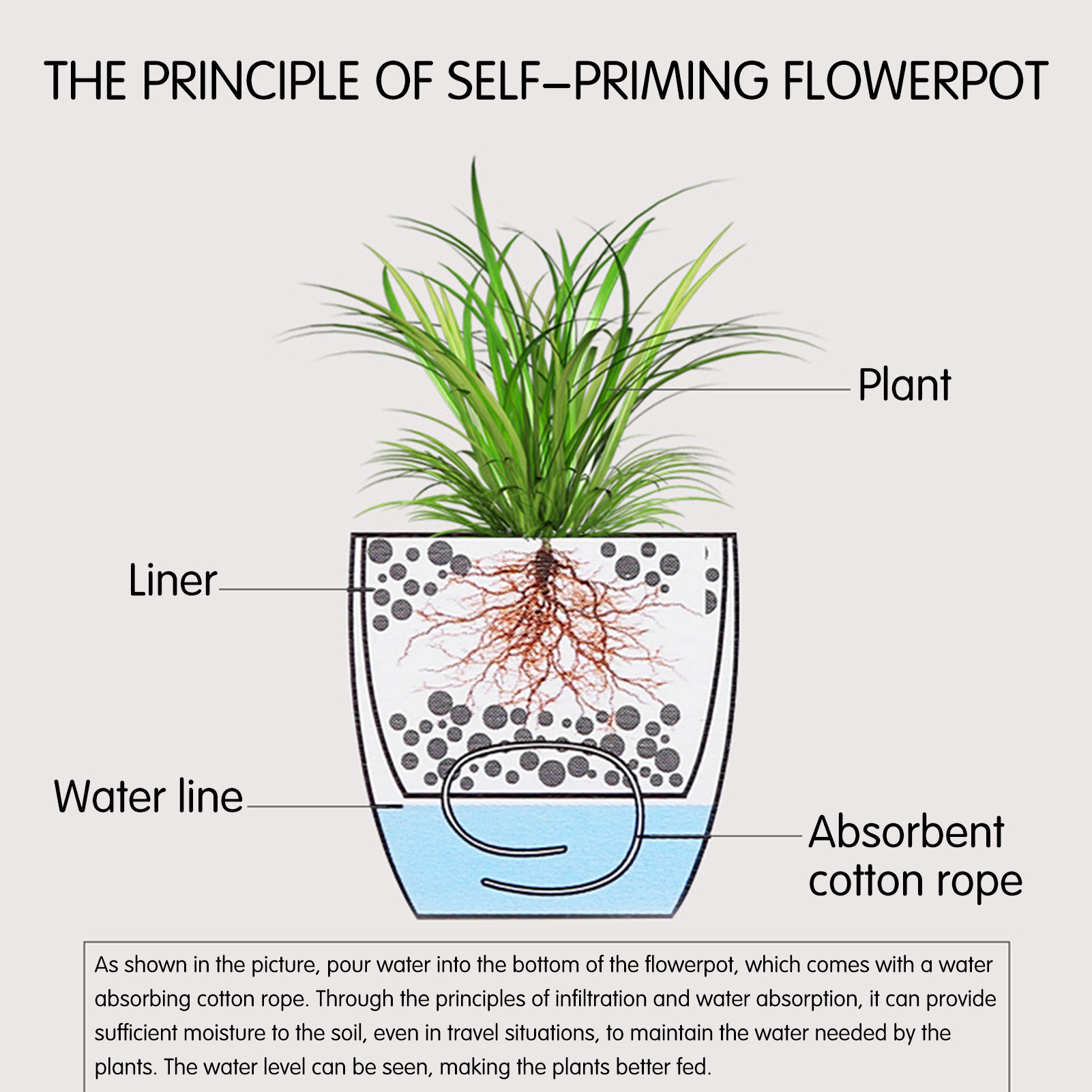 กระถางต้นไม้รดน้ำอัตโนมัติ กระ - Self-Watering Planter บทวิจารณ์และราคา