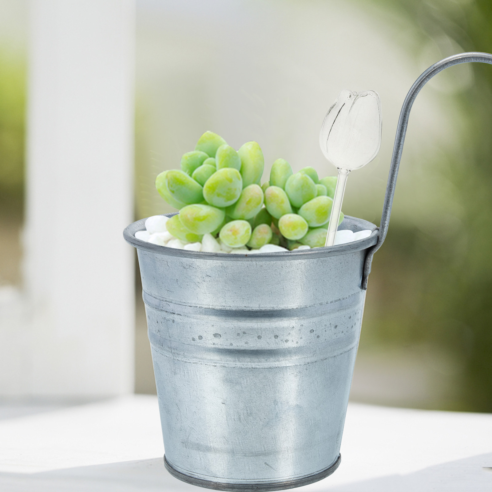2 ชิ้น ลูกบอลรดน้ำต้นไม้แก้วบอ - Self-Watering Planter บทวิจารณ์และราคา
