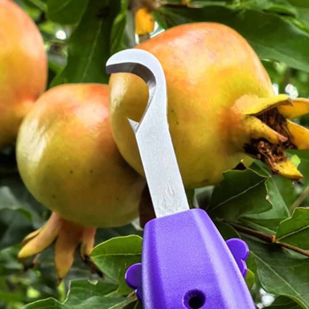 เครื่องมือตัดแต่งกิ่งอเนกประสง - Gardening Tools Vegetables บทวิจารณ์และราคา